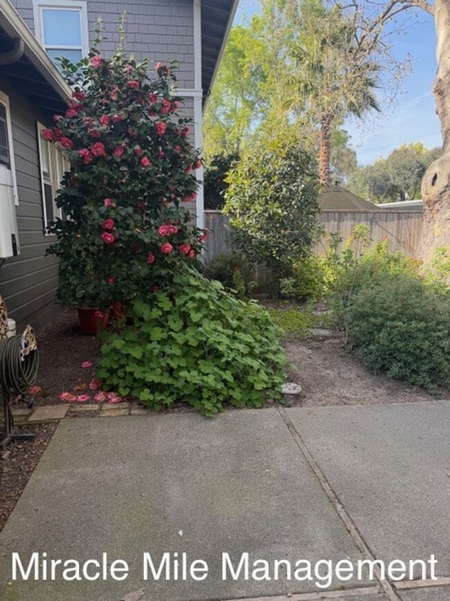 Building Photo - Modern Condo Beautifully Updated