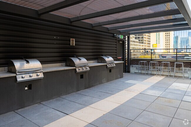Outdoor Rooftop - Grills - Auraria Lofts - Historical Access