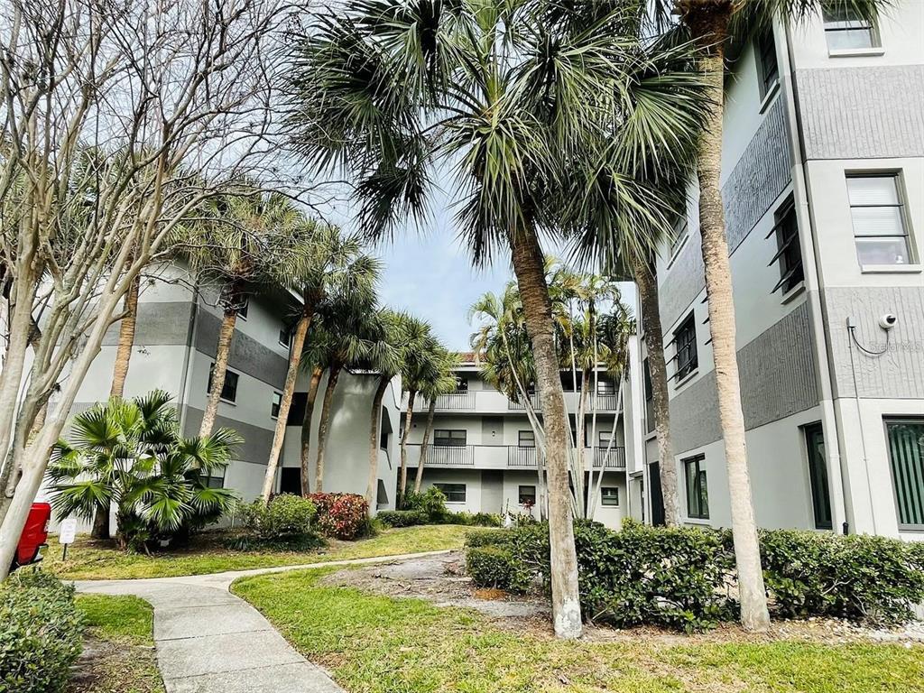 2650 Countryside Blvd Unit C201, Clearwater, FL 33761 Condo for Rent in Clearwater, FL