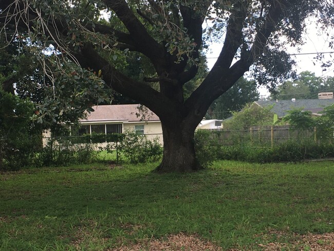 Oak tree in backyard - 3858 Dovehollow Dr