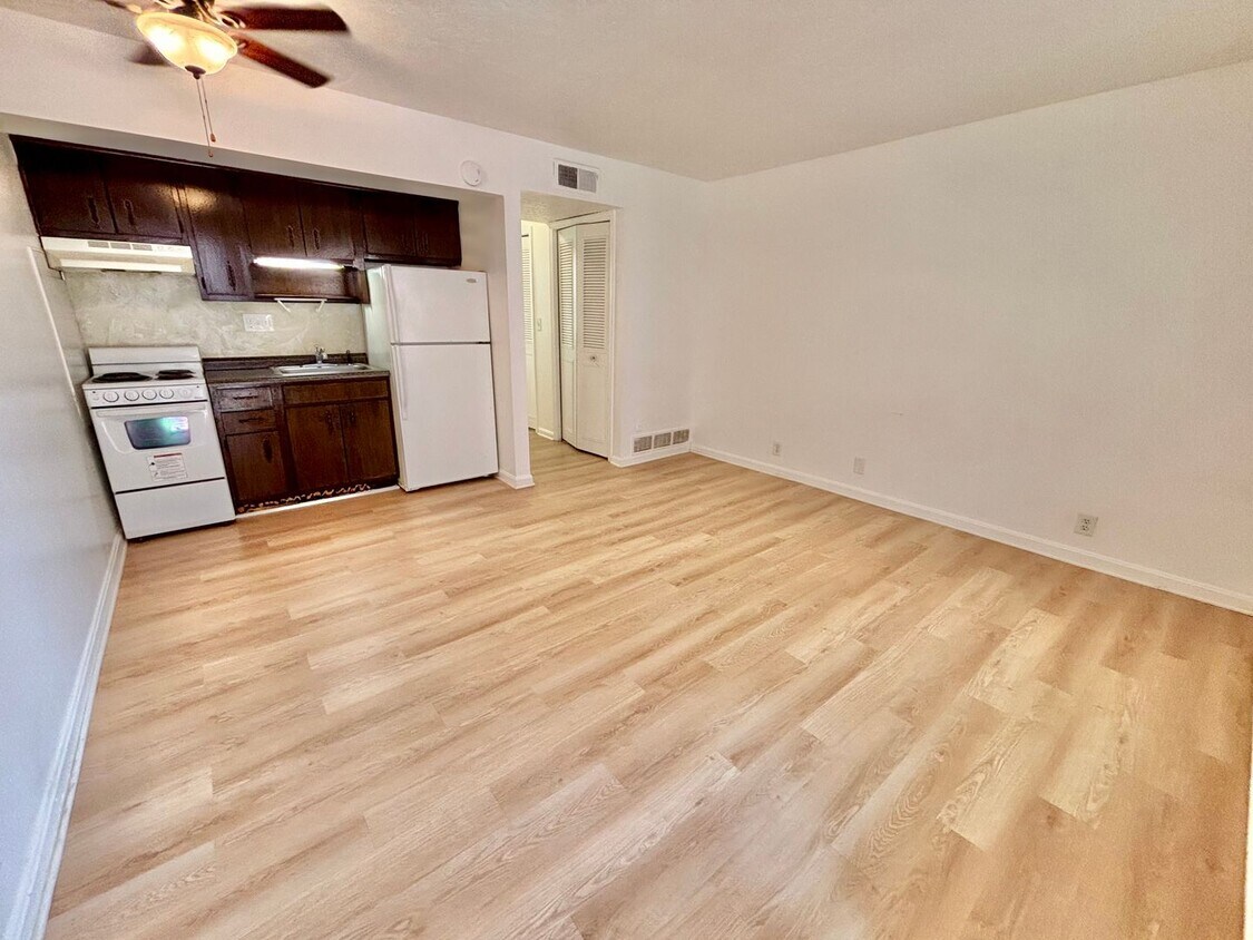 Photo - 1221 S 3rd Street Unit 10 - Old Louisville 1 Bedroom Apartment