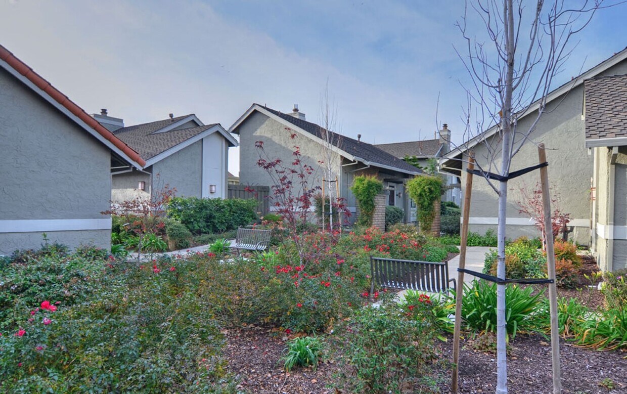 Primary Photo - Beautiful Remodeled Home w/Attached 2 Car ...