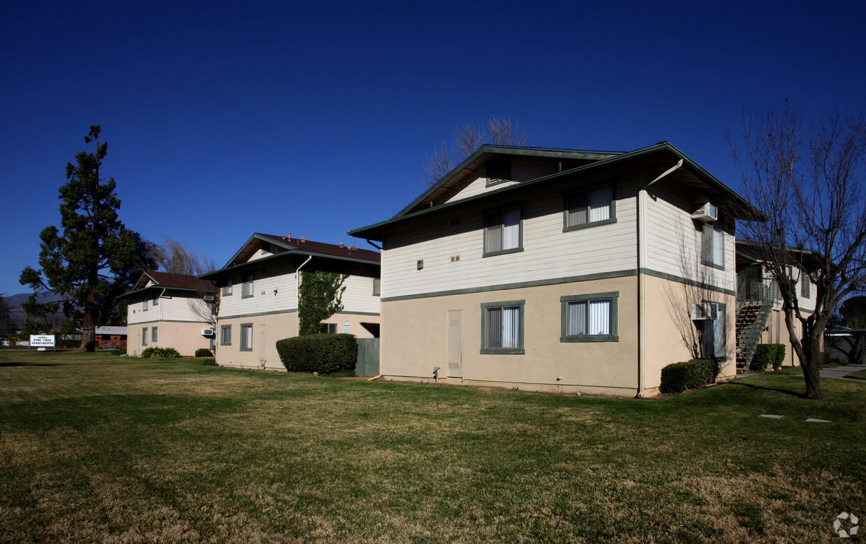 Primary Photo - Pine Tree Apartments