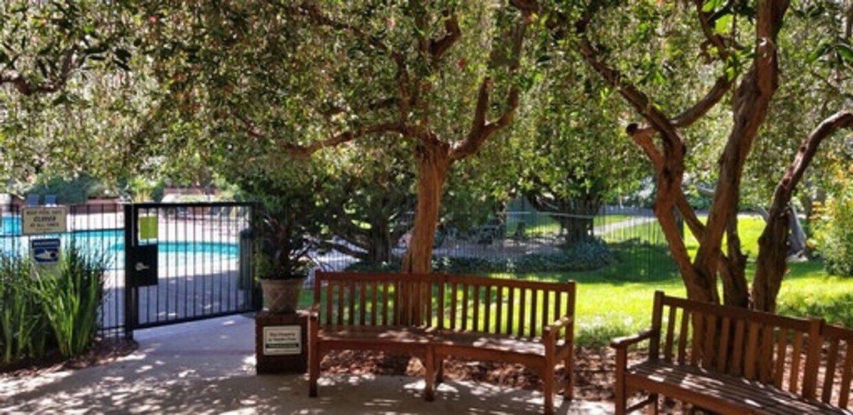 Primary Photo - Spacious 1-bed 1-bath condo now available ...