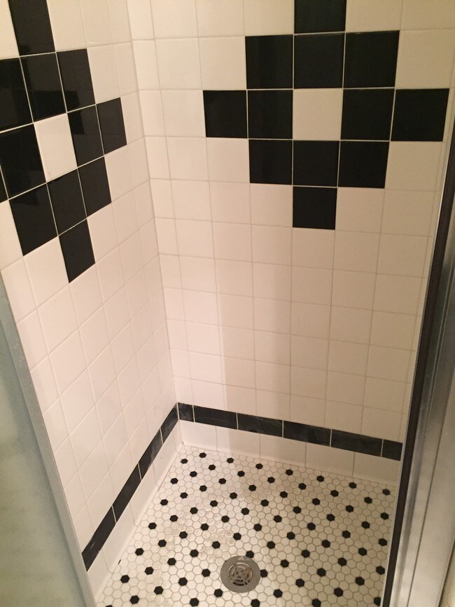 Master shower - 704 E Toledo St