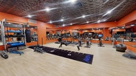 This fitness facility on Chapel St S in Hartford, Connecticut, is a thoughtfully designed single-floor gym offering a comprehensive workout environment. The space is immediately distinguished by its bold orange walls, which create an energizing atmosphere throughout, complemented by a striking geometric, textured dark ceiling fitted with recessed lighting that evenly illuminates the entire floor.

The gym is divided into distinct functional zones. The cardio area lines one wall and features multiple treadmills, ellipticals, and rowing machines, all reflected by a continuous floor-to-ceiling mirror that visually expands the space. Mounted monitors are positioned for convenient viewing during cardio sessions.

The strength training section is well-appointed with a power rack, multi-functional cable machine, a full dumbbell rack with accompanying benches, kettlebells, and a punching bag, catering to a wide range of training styles. A marked turf sled track runs centrally through the space, ideal for functional and high-intensity training drills.

The light wood-toned flooring throughout provides a clean, professional look while offering durability underfoot. Large mirrors along multiple walls enhance the sense of openness. A glass-panel door leads to an adjacent room, providing additional utility to the overall facility.