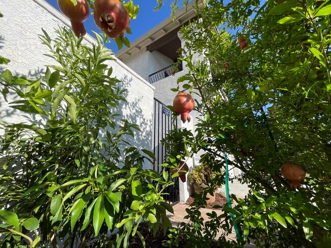 Foto del edificio - 5311 Delta Dr