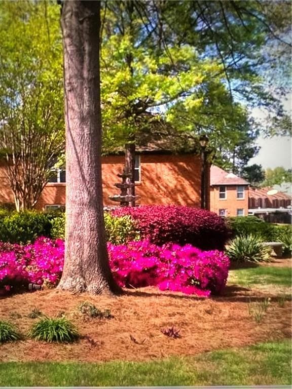 Building Photo - 707 Beaufort Cir