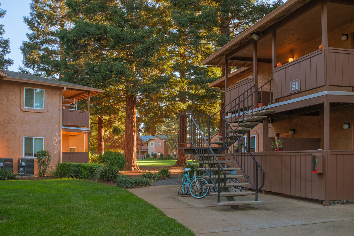 Primary Photo - Pine Tree Apartments