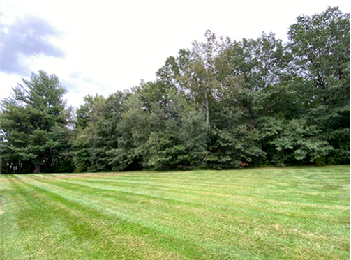 Fresh air and trees - Halfmoon Garden Apartments, LLC