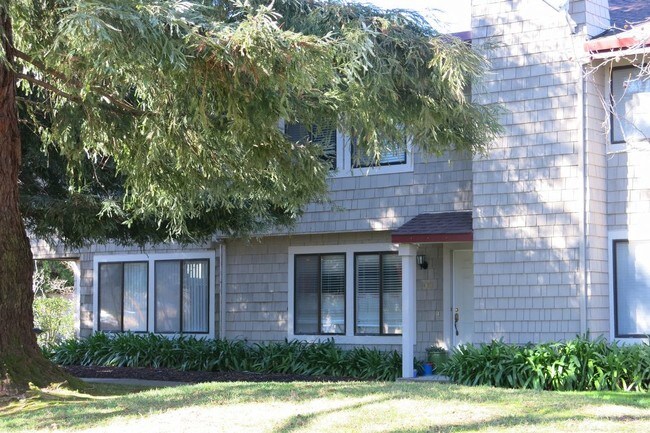 Building Photo - 109 Scotia Ln