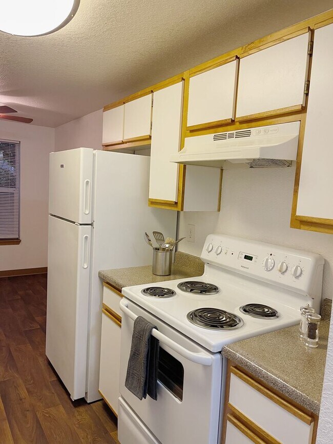Building Photo - Beautiful 2 Bedroom Apartment Coming Avail...