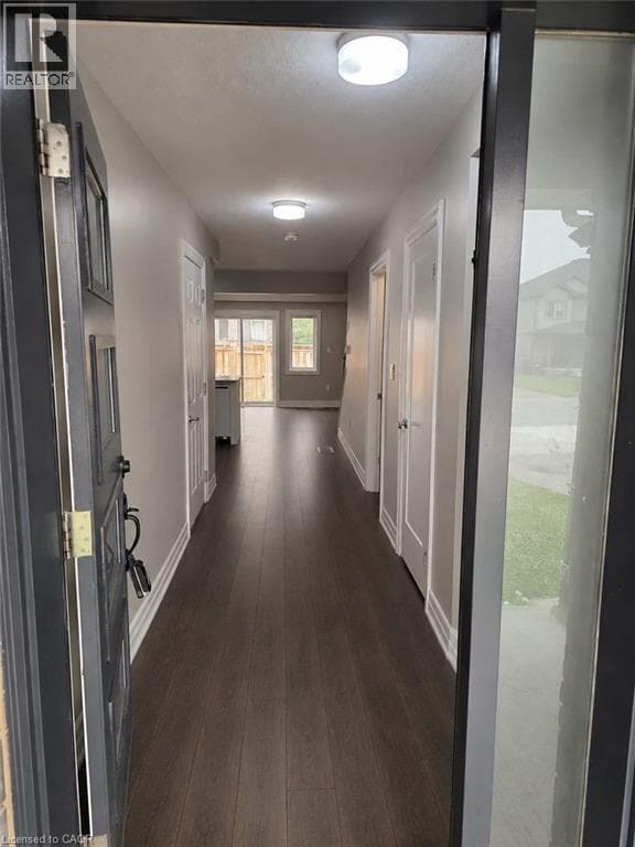Building Photo - 47 Nieson St