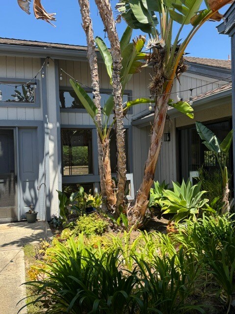 Foto del edificio - 7441 Trigo Ln