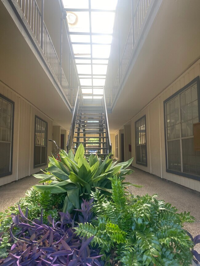 Foto del edificio - 311 Jagoe Street