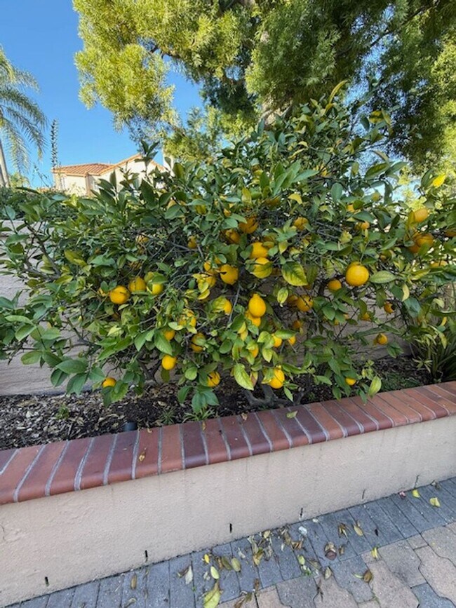 Foto del edificio - 2 Bedroom Condo in Aliso Viejo!