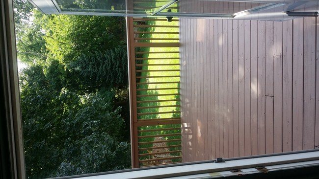 Foto del edificio - 150 Elizabeth St