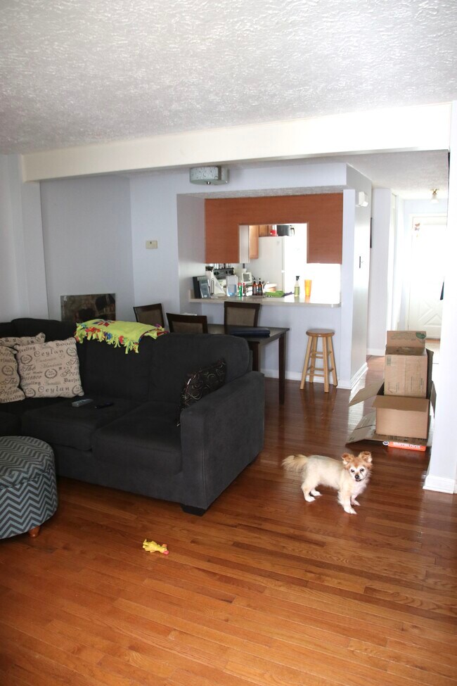 Foto del edificio - 8480 Lazy Creek Ct