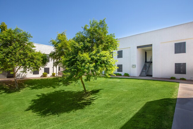 Paisaje exterior - The Avi