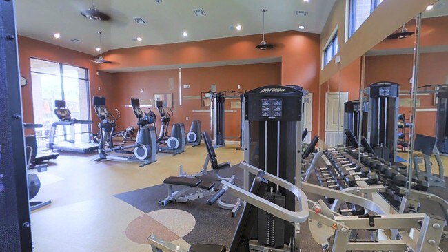 San Cierra Apartments Houston Tx Fitness Center San Cierra