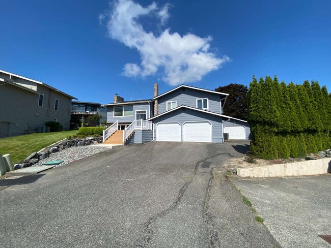 Building Photo - Downstairs Suite with Private Kitchen & Ba...