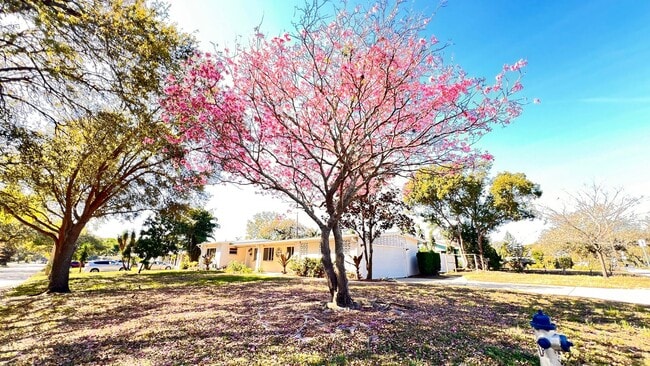Building Photo - 1516 Dove Dr