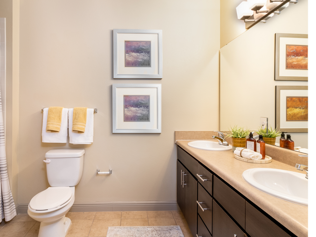 Amplios cuartos de baño - Millenia 700 Apartments