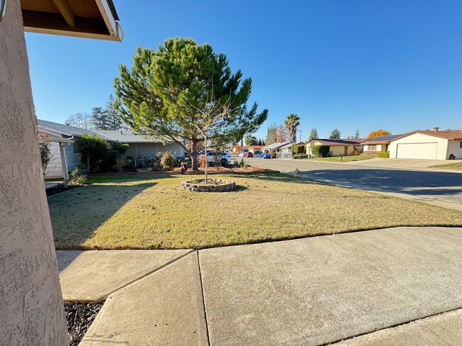 Building Photo - 3 bed/2 ba house - Olivehurst