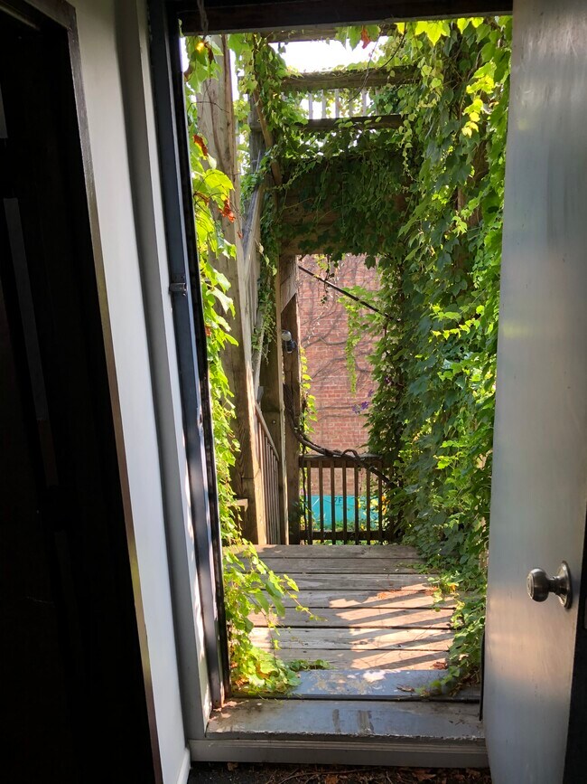 Back Door - 3109 N Western Ave