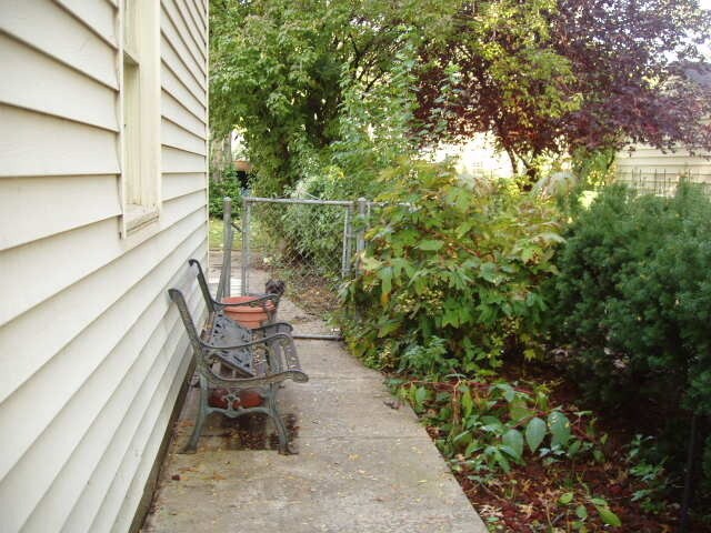 Foto del edificio - Gorgeous home near Westboro park.