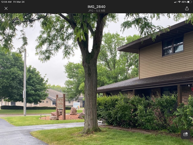 Interior Photo - Pinetree Estates