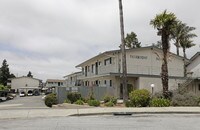 Fairmount Palms