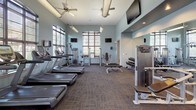 Located at 1550 Westborough Drive in Houston, Texas, this well-equipped fitness center offers a comprehensive workout environment spread across a single floor with two distinct areas. The main gym floor features soaring ceilings with ceiling fans, soft blue-gray walls, and large arched and rectangular windows dressed with horizontal blinds that allow generous natural light and views of the surrounding greenery. The space is outfitted with an extensive selection of cardio equipment, including multiple treadmills and elliptical machines, as well as strength training stations, cable machines, a dumbbell rack, and weight benches. Wall-mounted televisions are positioned throughout for entertainment during workouts, and full-length mirrors enhance the sense of space. The flooring is a durable, patterned carpet suited for high-traffic use. A separate cycling studio adjoins the main floor, boasting impressively tall ceilings, large windows with outdoor views of mature trees, clean light vinyl flooring, and a row of stationary spin bikes equipped with individual monitors. Pendant lighting fixtures and wall-mounted accessories complete this dedicated space. Together, the two areas create a functional, bright, and inviting fitness facility designed to accommodate a wide range of exercise routines.