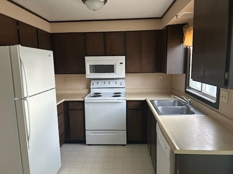 Building Photo - 713 Miller Ct