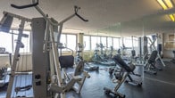 Located at 330 W Brambleton Ave in Norfolk, Virginia, this single-floor fitness center offers a well-rounded exercise facility designed to accommodate a variety of workout routines. The space is defined by its open layout, dark rubber flooring, and bright white walls, creating a clean and functional environment for physical training.

Along one wall, large floor-to-ceiling windows flood the cardio area with natural light while providing expansive views of the Norfolk skyline — an energizing backdrop for treadmills, a recumbent bike, and a stair stepper. The Matrix-branded treadmills are positioned to take full advantage of these panoramic vistas.

The strength training section is centrally anchored by a multi-station cable and weight machine, offering a range of resistance exercises in one compact unit. Adjacent to it, a dedicated free weights area features a full rack of dumbbells alongside adjustable benches, with floor-to-ceiling mirrors lining the walls to maximize the sense of space and support proper form. Additional flat and incline benches are available throughout the floor.

A freestanding boxing bag adds a functional training element to the space. Informational fitness posters are displayed on one partition wall, contributing to the gym's practical, utilitarian character. The facility is well-lit with overhead fluorescent lighting and is accessible via a glass-paned door.