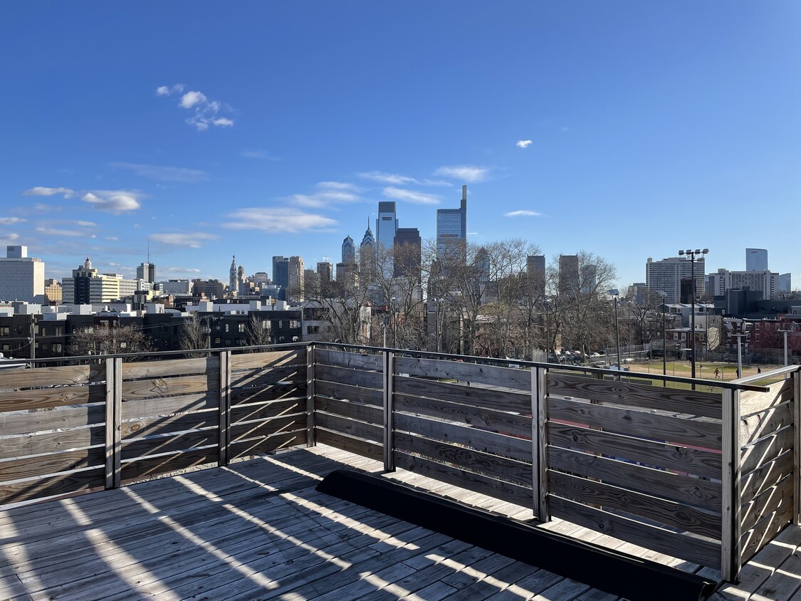 Roof deck - 817 Cameron St