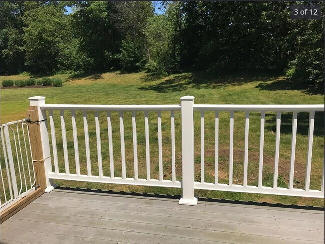 patio trasero - 966 Washington St