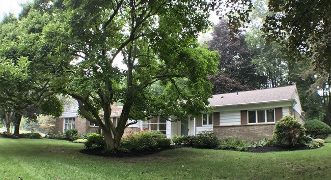 Building Photo - 272 Applewood Ln