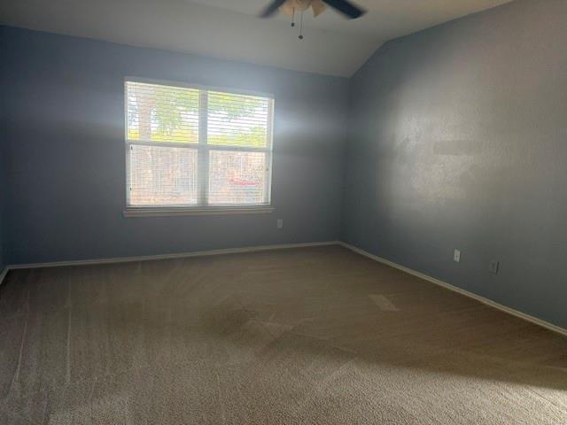 Foto del edificio - 1621 Black Maple Dr