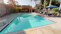 This property centers around a generously sized outdoor swimming pool that serves as the focal point of the community's amenity space. The pool features clear turquoise water, wide concrete decking, and marked depth indicators along its edges. Surrounding the pool are multiple lounge chairs and shaded seating areas outfitted with navy blue market umbrellas, providing ample space for relaxation and outdoor gatherings. Tall palm trees and mature shade trees line the perimeter, creating a resort-like atmosphere with a distinctly Southern California character.

A wrought iron fence encloses the pool area, with gated access points and posted pool rules signage. Adjacent to the pool, a covered pergola structure with a slatted roof offers additional shaded space and leads to the on-site leasing office. The office interior is visible through large glass openings and features a modern workspace with a desk, seating area, and built-in shelving. A branded Trinity Property entrance mat marks the entryway.

The surrounding landscaping is lush and tropical, featuring banana trees, birds of paradise, climbing vines, and various palms that create a verdant, well-maintained environment. The overall ambiance is bright, open, and inviting, reflective of warm-climate outdoor living.
