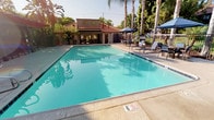 This property centers around a generously sized outdoor swimming pool that serves as the focal point of the community's amenity space. The pool features clear turquoise water, wide concrete decking, and marked depth indicators along its edges. Surrounding the pool are multiple lounge chairs and shaded seating areas outfitted with navy blue market umbrellas, providing ample space for relaxation and outdoor gatherings. Tall palm trees and mature shade trees line the perimeter, creating a resort-like atmosphere with a distinctly Southern California character.

A wrought iron fence encloses the pool area, with gated access points and posted pool rules signage. Adjacent to the pool, a covered pergola structure with a slatted roof offers additional shaded space and leads to the on-site leasing office. The office interior is visible through large glass openings and features a modern workspace with a desk, seating area, and built-in shelving. A branded Trinity Property entrance mat marks the entryway.

The surrounding landscaping is lush and tropical, featuring banana trees, birds of paradise, climbing vines, and various palms that create a verdant, well-maintained environment. The overall ambiance is bright, open, and inviting, reflective of warm-climate outdoor living.