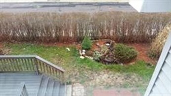 Foto del edificio - 35 Spring St