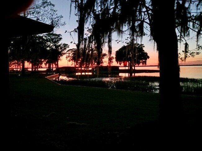 Foto del edificio - 33911 Shady Acres Rd