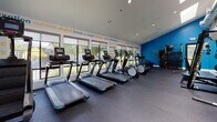 Located at 25800 Industrial Blvd in Hayward, California, this single-floor fitness center is a well-equipped exercise facility designed to support a full range of workout routines. The space is bright and open, benefiting from an extensive bank of large windows along one wall that flood the interior with natural light and offer views of the surrounding outdoor greenery. Skylights further enhance the airy atmosphere, complementing the clean white ceiling with recessed lighting throughout.

The cardio zone is prominently featured, housing a row of treadmills and elliptical machines positioned along the windowed wall, providing an energizing environment for aerobic exercise. A stair climber and stationary bikes round out the cardio offerings. On the opposite side of the space, a bold cobalt blue accent wall anchors the strength training area, where users will find a well-organized rack of dumbbells, resistance training equipment, a cable machine, a weight bench, and functional training accessories such as medicine balls and resistance bands.

A standout design element is the motivational typography mural that wraps around the walls, featuring fitness-related words and phrases in blue, orange, and gray, adding a dynamic and energizing visual character to the space. Dark rubber flooring provides safety and durability underfoot. Glass exit doors offer additional access points and reinforce the connection to the outdoors.