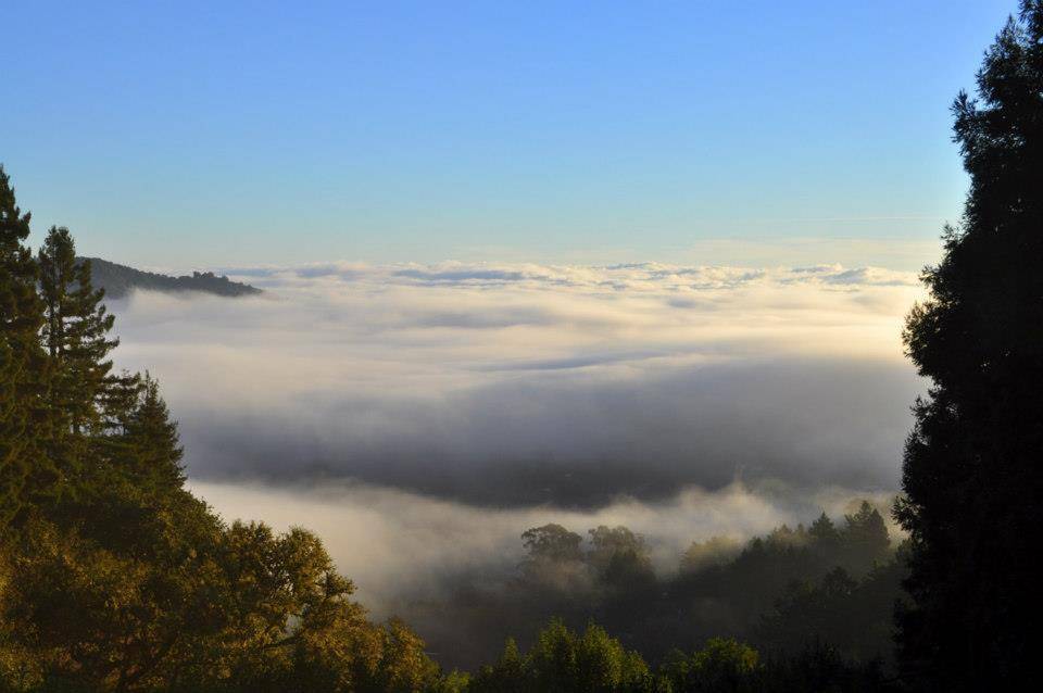 view from kitchen above the fog - 10 Sunrise Lane