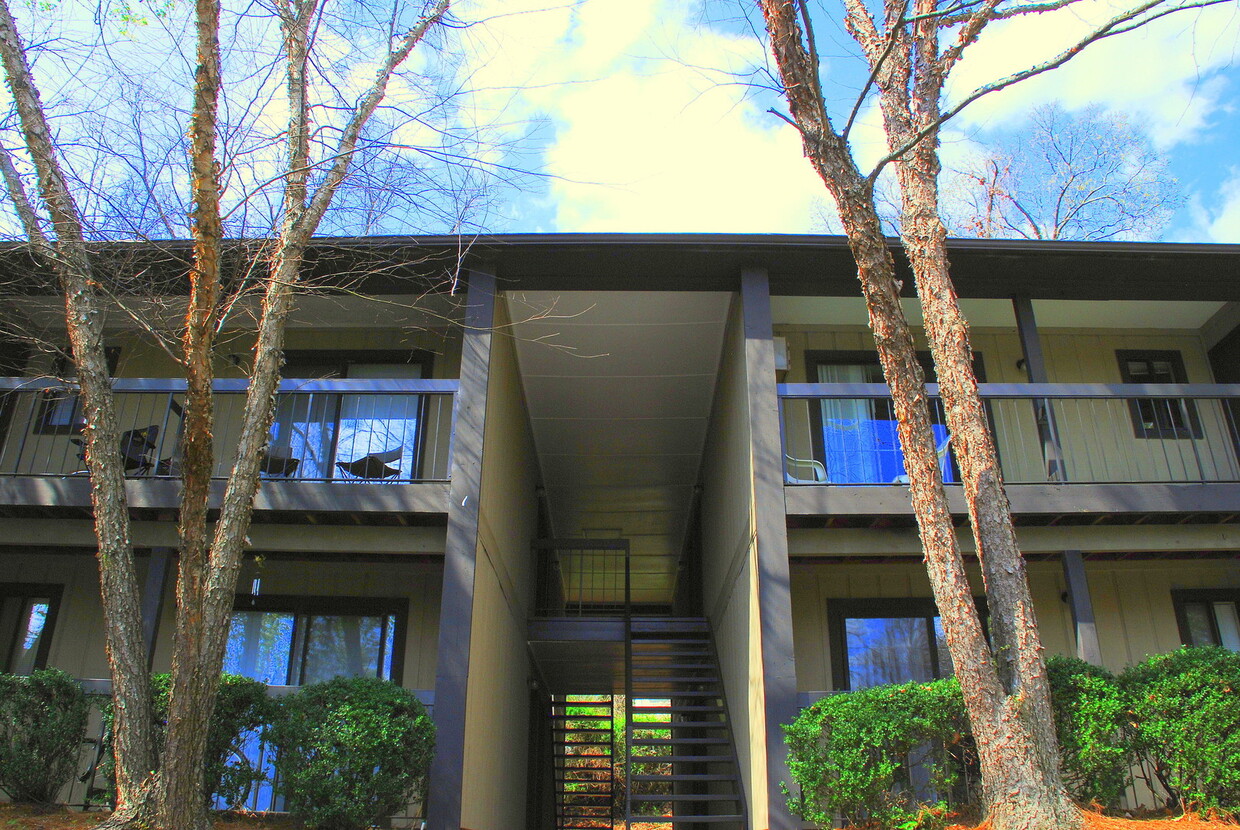 Foto principal - Campus View Apt-Walking Distance to UGA!