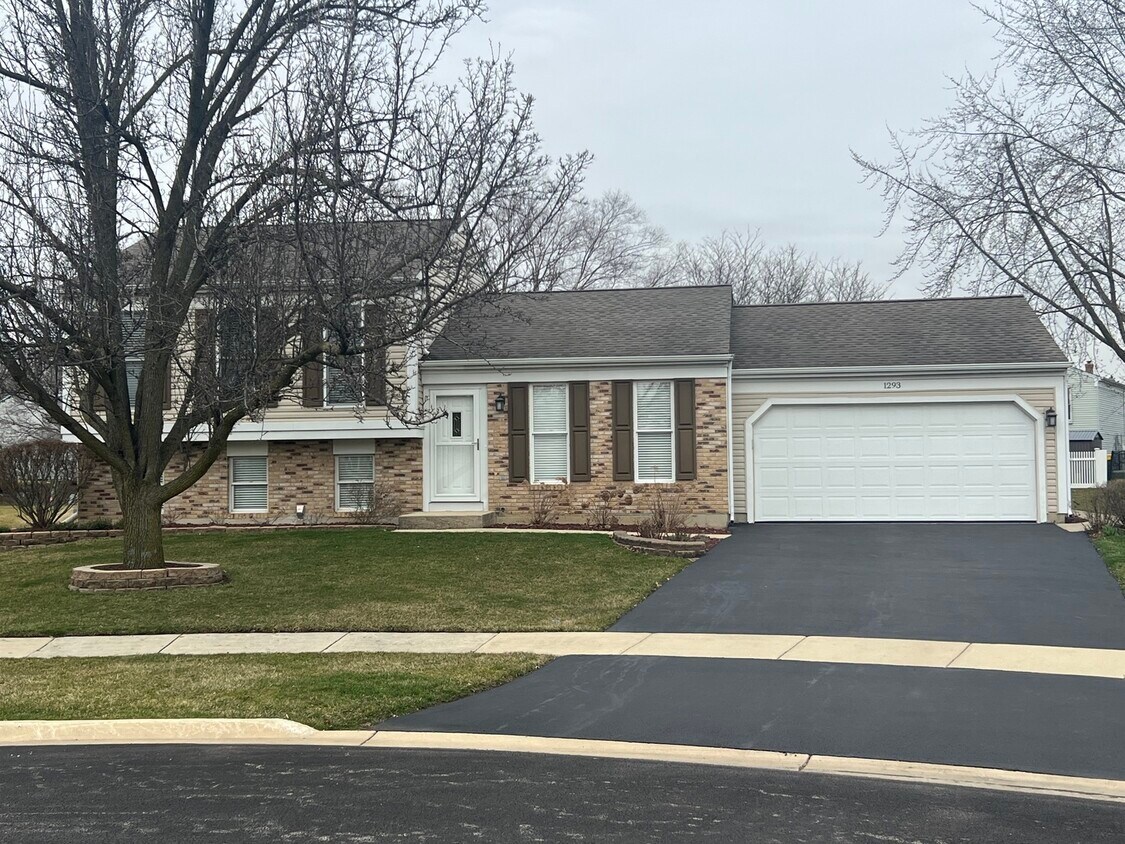 1293 Birchbark Trail, Carol Stream, IL 60188 House Rental in Carol