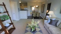 This single-floor residence features an open-concept layout that connects the living room, dining area, and kitchen in one cohesive flow. The living room is finished with plush carpeting in a warm neutral tone, creating a comfortable and inviting atmosphere. A decorative area rug with a geometric pattern anchors the seating area, where a sofa is visible alongside a floral centerpiece arrangement that adds a natural touch to the space.

The kitchen is positioned at the rear and features light wood cabinetry, a dark stone countertop with a raised breakfast bar, and white appliances including a microwave. The bar-height counter provides a visual separation between the kitchen and the adjacent dining area without closing off the open feel of the space.

The dining area accommodates a full dining table surrounded by upholstered chairs in a muted olive tone. A pendant light fixture hangs overhead, and a large decorative mirror with floral accents adds depth and elegance to the wall. Throughout the space, soft gray walls provide a neutral backdrop, while dark hardwood-style flooring in the dining and kitchen zones contrasts with the carpeted living area, clearly defining each functional space.