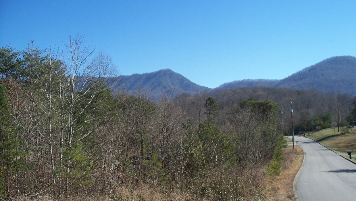 Primary Photo - 3724 Mistletoe Loop