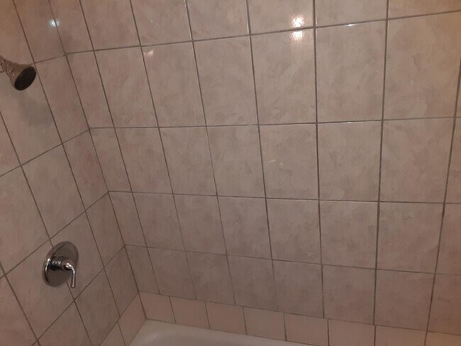 Shower - 8128 S Marshfield Ave